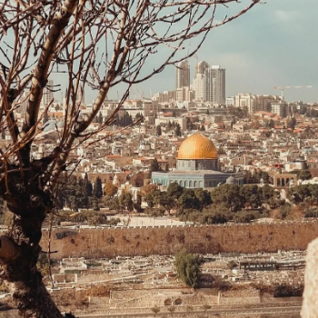 ياسمين عامر فؤاد الجعفراوي